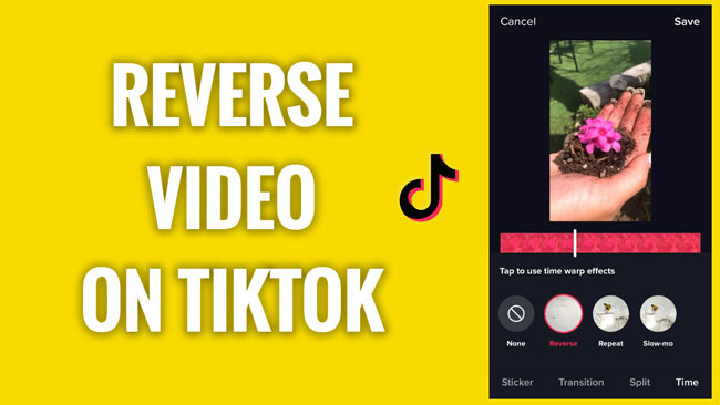 how to reverse tiktok video