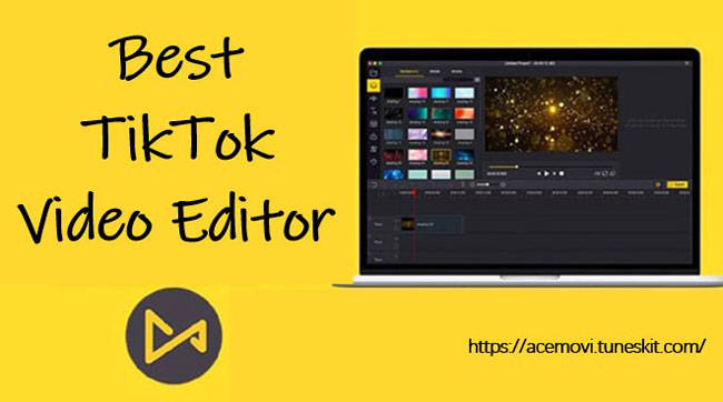 the top tiktok video editor, acemovi