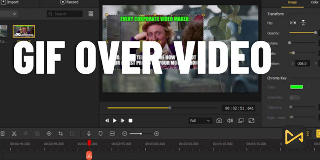 How to Overlay GIFs on Videos — Clideo