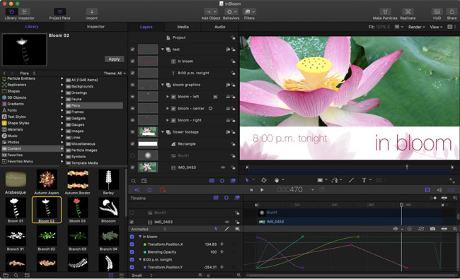 apple motion video effects editor