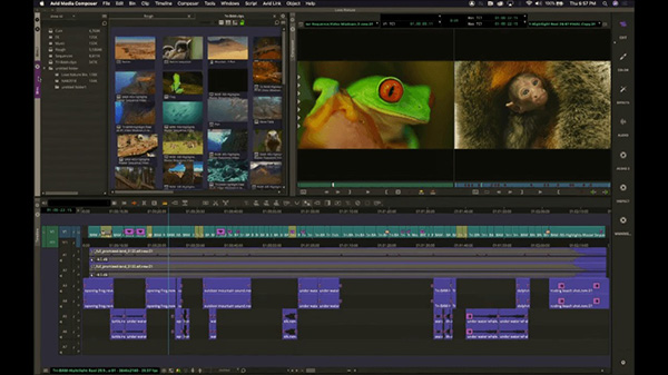 Avid media composer vs premiere pro online