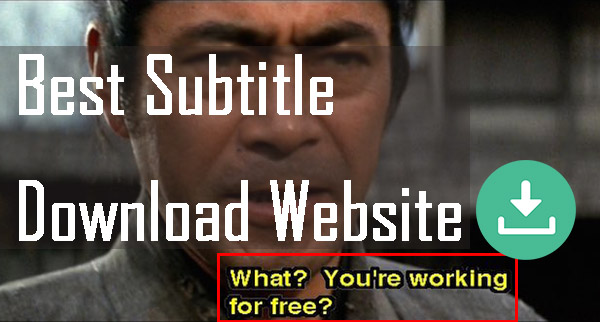 video subtitle generator