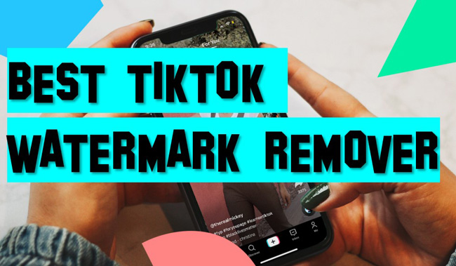 best tiktok watermark remover