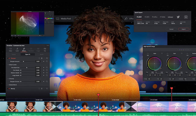 davinci resolve review interface