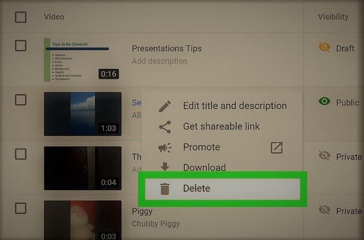 delete the video