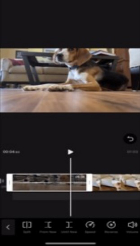 edit video with vita video editor