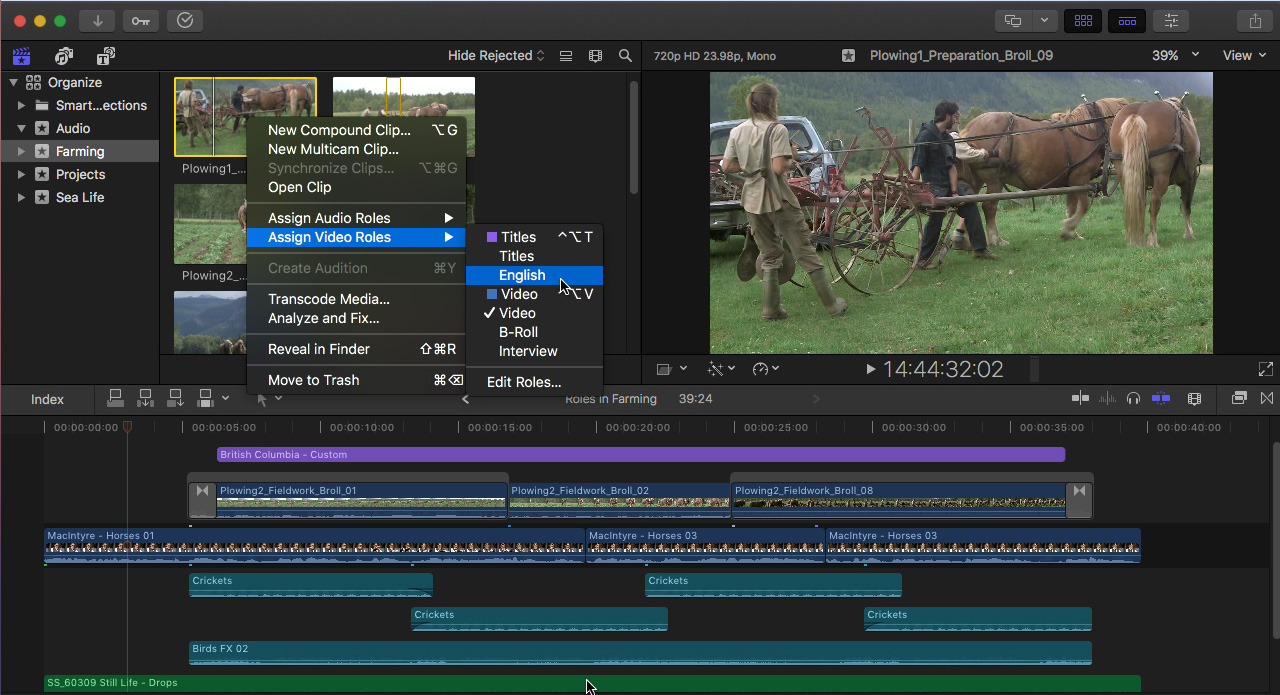 final cut pro interface