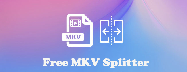 free mkv splitter
