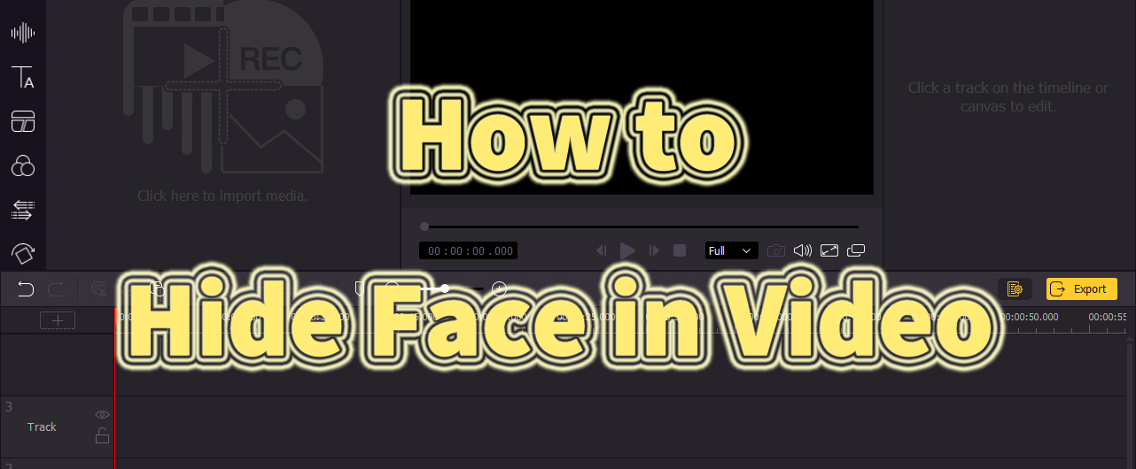 hide face in video