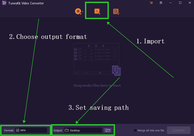 acemovi divx video converter interface