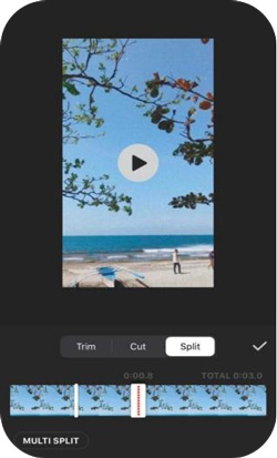 how to split a video with inshot app