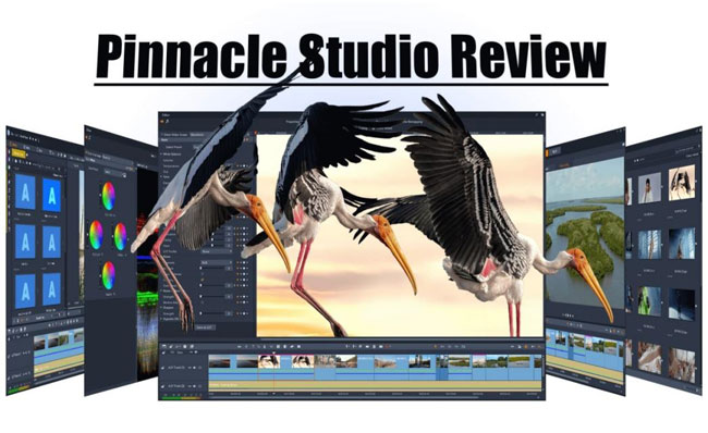 Create Powerful Titles with Text Video Masking in Pinnacle Studio