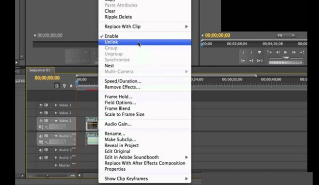 how to detach audio from video in premiere pro