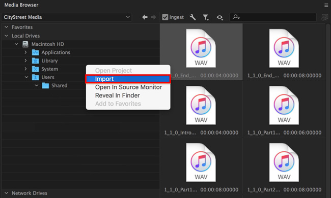 import files to premiere pro