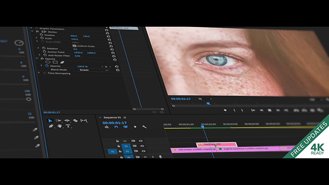premiere pro visual effects