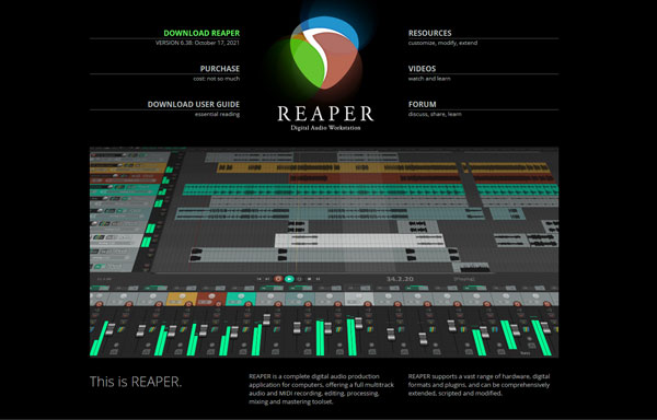 reaper to mix video with audio software