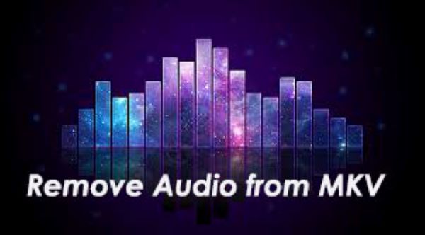 how to remove audio track from mkv