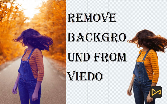 how to remove background from video