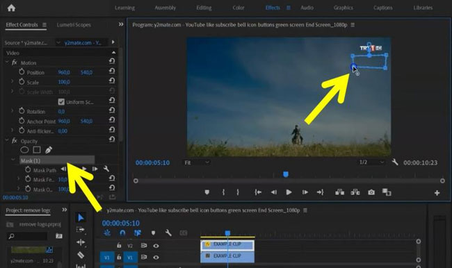 remove logo from video in premiere pro