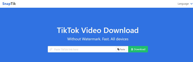 snaptik tiktok watermark downloader interface