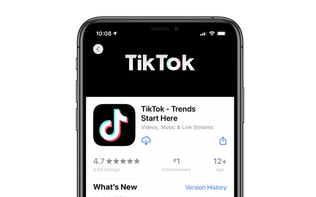 Download the TikTok App