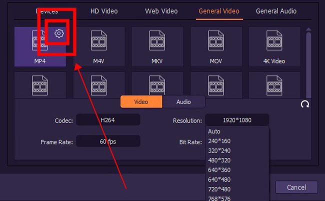 convert MVP and tiktok video into Mp4 