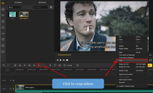 how to crop video on acemovi