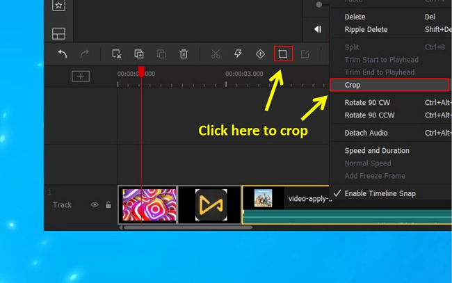 how to crop divx video