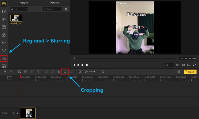 how to remove watermark in video for free