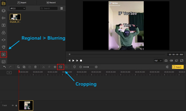 how to remove watermark from picture with acemovi video editor