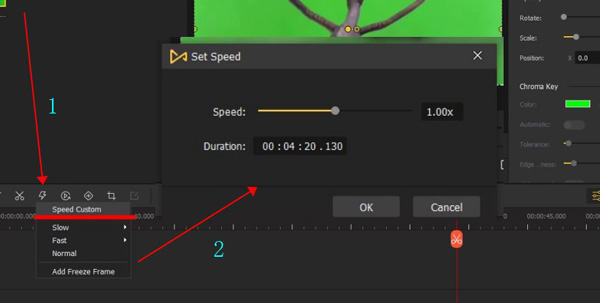 customize the video speed