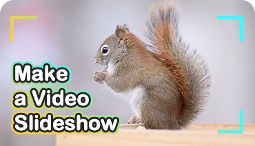 make a video slideshow